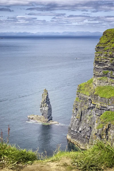 Cliffs of moher — Stock Photo, Image