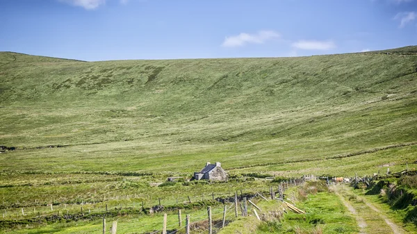 Irish landscape — Stock Photo, Image