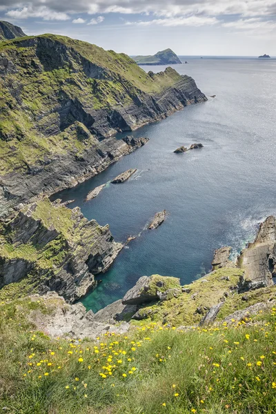 Vista desde Reencaheragh a la isla Skellig — Foto de Stock