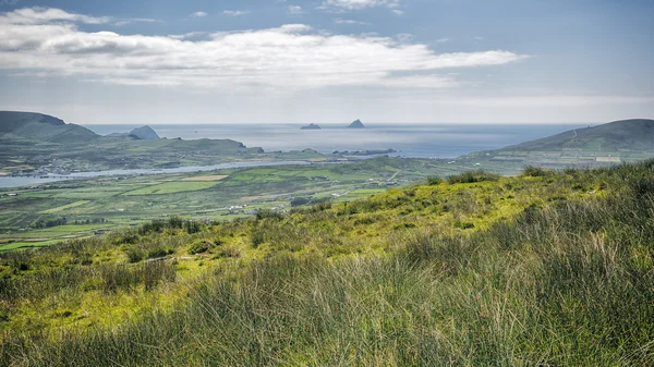 Skellig Írország — Stock Fotó