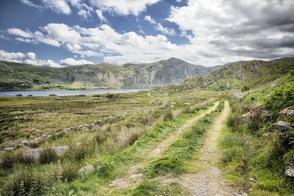 Anneau du paysage Kerry — Photo