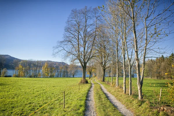 Kochelsee Ordförande — Stockfoto