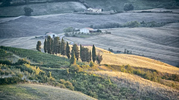 Toskana landschaft in italien — Stockfoto
