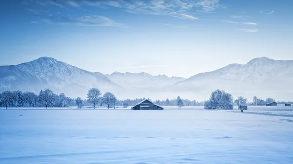 Зимние пейзажи — стоковое фото