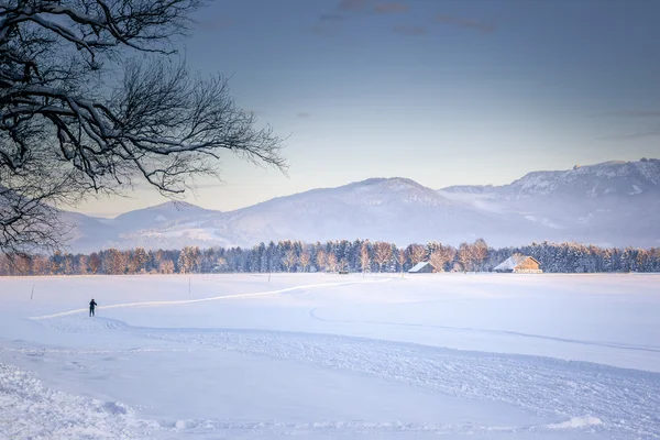 Paesaggio invernale — Foto Stock