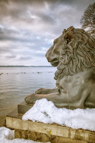 Löwen beim Tutzing — Stockfoto