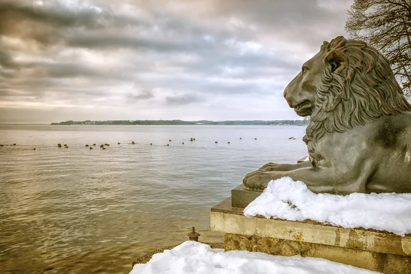 Löwen beim Tutzing — Stockfoto