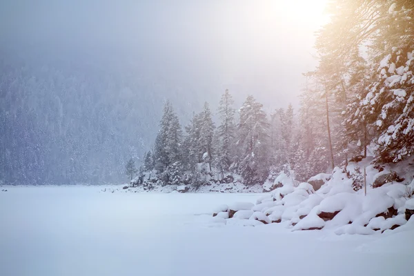 Eibsee nevado no inverno — Fotografia de Stock