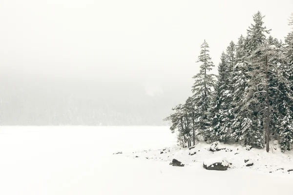 Eibsee v zimní sezóně — Stock fotografie