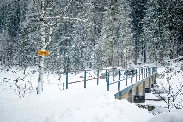 冬のシーズンで Eibsee — ストック写真