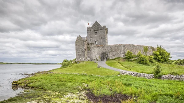 Dunguaire castle Irlandia — Zdjęcie stockowe
