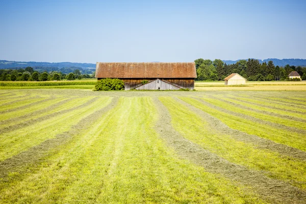 美しい田園風景 — ストック写真