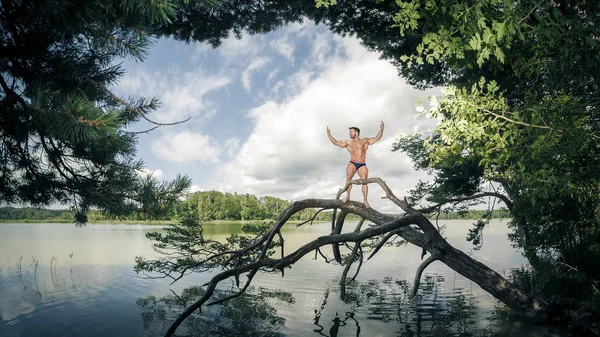 Muscular man on tree — Stock Photo, Image