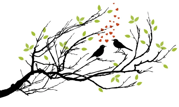 Two birds in love — Stock Photo, Image