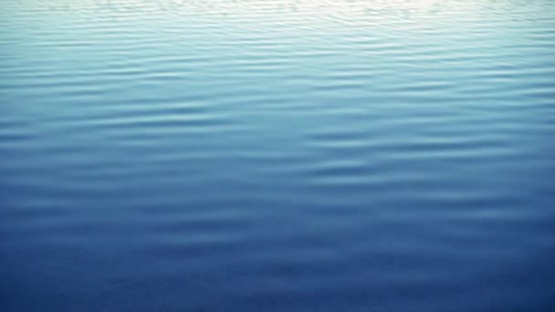 아름 다운, 맑고 푸른 물 가장자리에 파도 — 비디오