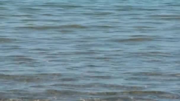 O 물 가장자리 파도 — 비디오