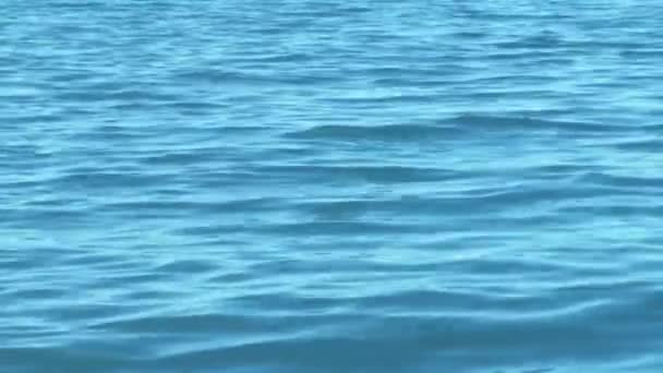 Onde sull'orlo dell'acqua — Video Stock