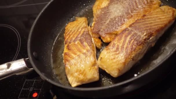 Friture de saumon dans une poêle noire — Video