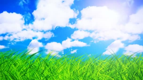 Πράσινο γρασίδι πάνω συννεφιασμένο ουρανό (αδιάλειπτη βρόχο) — Αρχείο Βίντεο