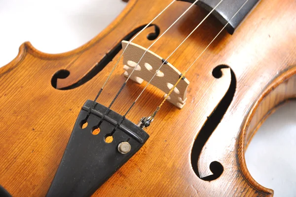 Neck of a violin — Stock Photo, Image