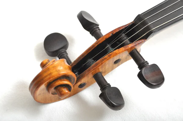 Neck of a violin Stock Image