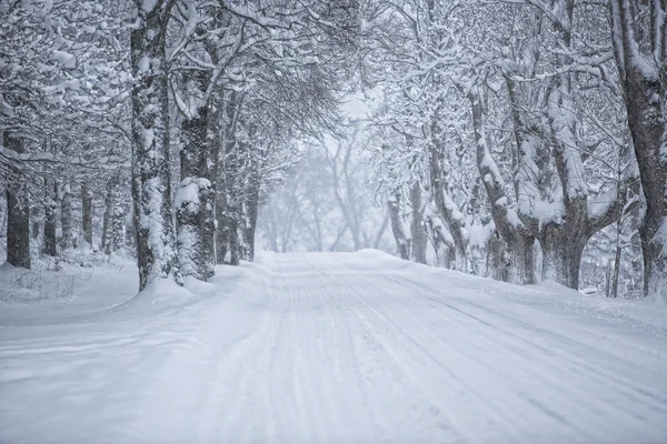 Vicolo invernale — Foto Stock