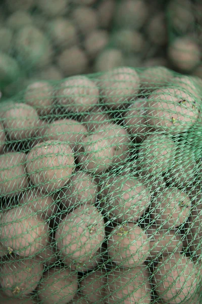 Aardappelen close-up — Stockfoto