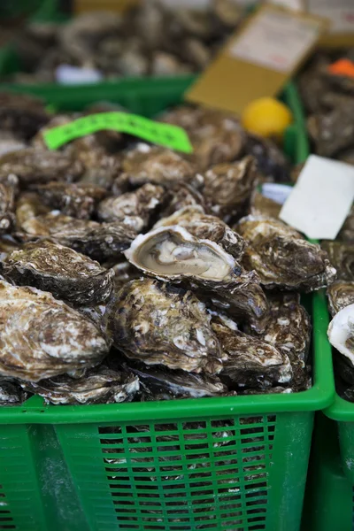 Primo piano delle ostriche in un cesto al mercato del pesce — Foto Stock