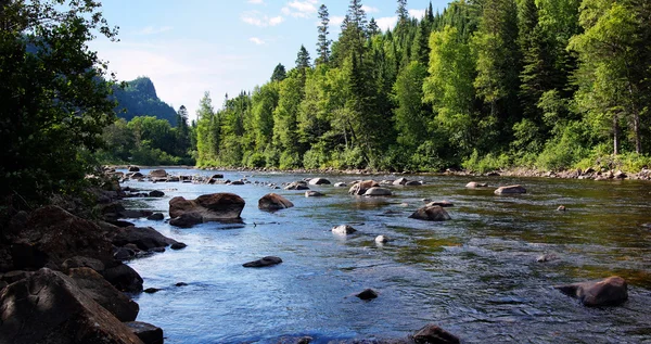 Salmon river landskap — Stockfoto