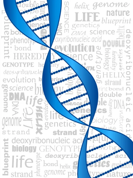 DNA iplik — Stok Vektör