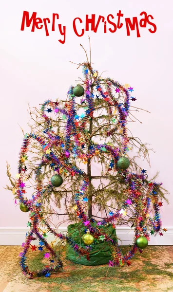 Νεκρός χριστουγεννιάτικο δέντρο 3 — Φωτογραφία Αρχείου