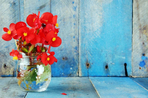 Rote Blumen über blauem Holz Hintergrund — Stockfoto