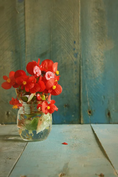 Red flowers over blue wood-filter — Φωτογραφία Αρχείου