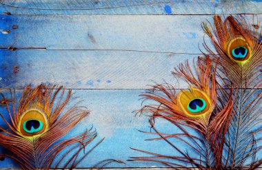 Ahşap üzerine üç tavus kuşu tüyü