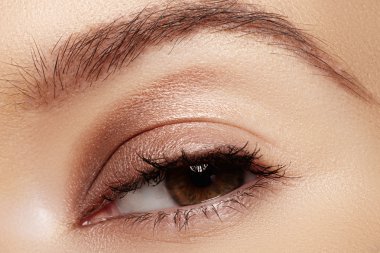 매크로 매우 긴 속눈썹을 가진 여자의 아름 다운 눈의 총. 섹시 한 보기, 관능적인 모습