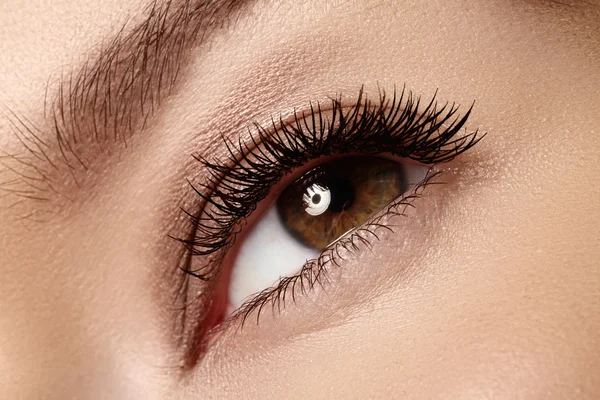 Makroaufnahme des schönen Auges der Frau mit extrem langen Wimpern. sexy Blick, sinnlicher Blick — Stockfoto