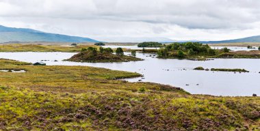 İskoç bataklıklarında manzara gölleri