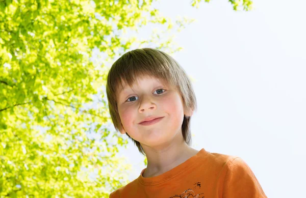 Blond boy in park — Stock fotografie