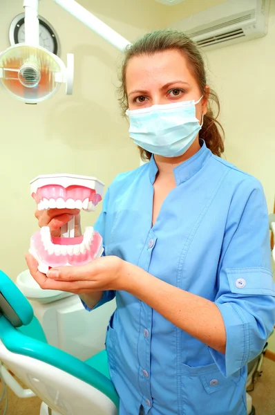 Dentist at her office — Stock Photo, Image