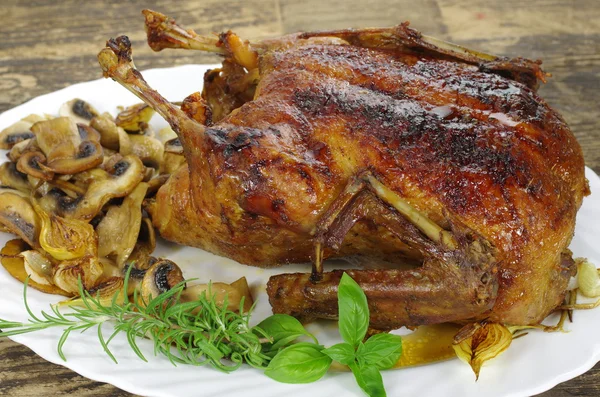 Whole roast honey duck — Stock Photo, Image