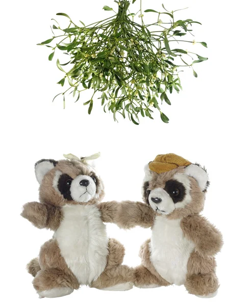 Due orsi panda — Foto Stock