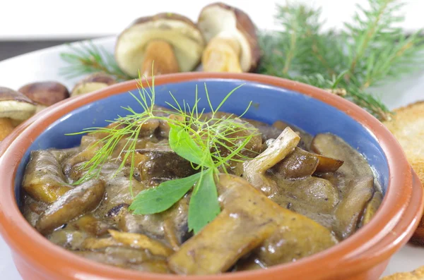 Geschmorte Pilze mit Brot — Stockfoto