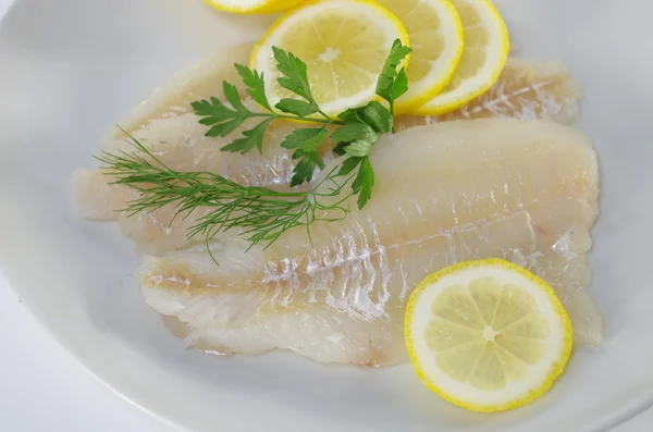 fresh raw cod fish fillet