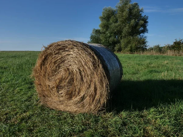 Rolo Feno Cenário Verão Fundo Céu — Fotografia de Stock