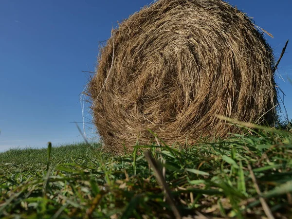 Rolo Feno Cenário Verão Fundo Céu — Fotografia de Stock