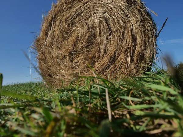 Rolo Feno Cenário Verão Fundo Céu — Fotografia de Stock