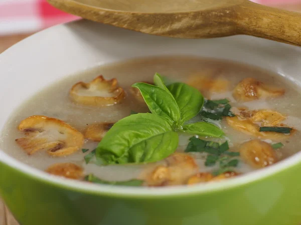 Sahnesuppe mit Champignon — Stockfoto