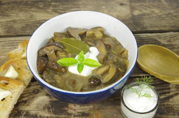 Cream soup with boletus — Stock Photo, Image