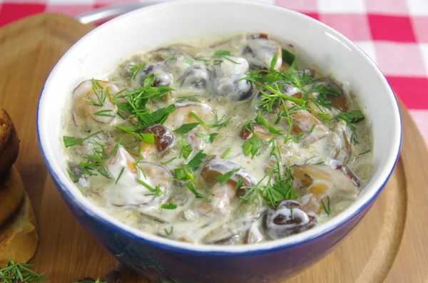 Sahnesuppe mit Steinpilzen — Stockfoto