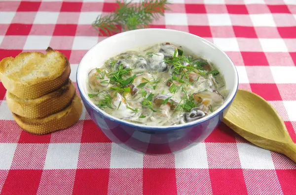 Sopa de creme com boleto — Fotografia de Stock